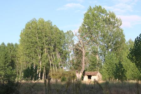 Camino Dehesa.JPG